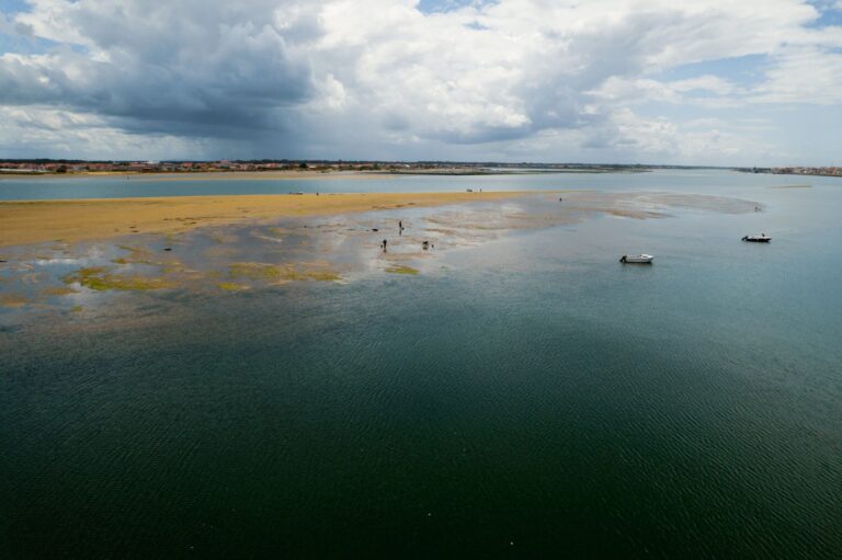 Rádio Regional do Centro: Museu Marítimo de Ílhavo acolhe Jornadas “Pesca Artesanal e Aquicultura”