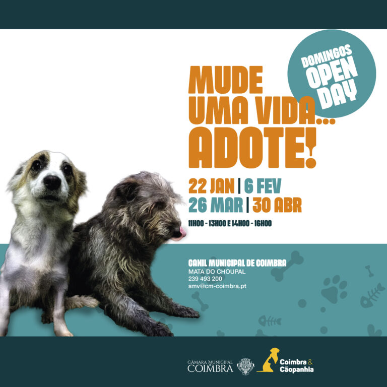 Rádio Regional do Centro: Canil Municipal de Coimbra abre um domingo por mês em “Open Day”