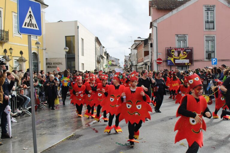 Rádio Regional do Centro: Carnaval de palmo e meio enche ruas da Mealhada com mais de um milhar de crianças
