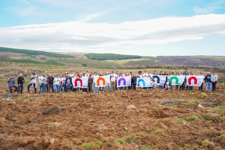 Rádio Regional do Centro: Politécnico de Coimbra planta 1500 árvores no Parque Natural da Serra da  Estrela