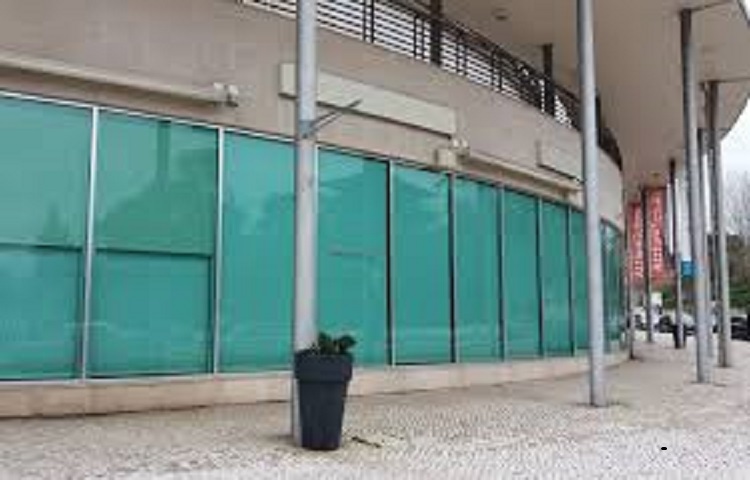 Rádio Regional do Centro: Mercadona em condições de avançar com supermercado em Coimbra, diz vereadora