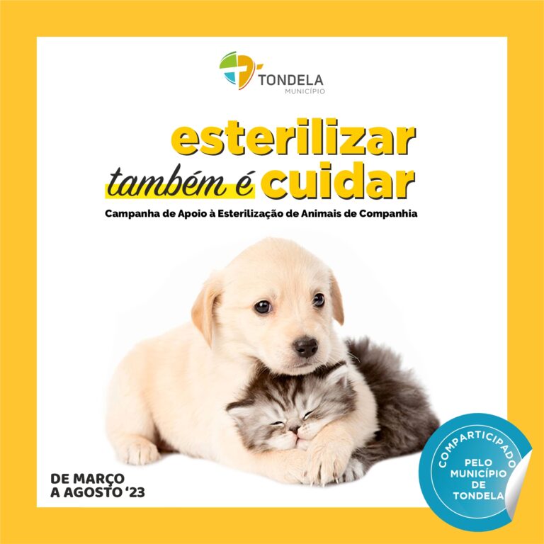 Rádio Regional do Centro: Câmara de Tondela comparticipa esterilização e castração de animais de companhia