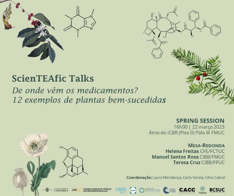 Rádio Regional do Centro: FMUC recebe ciclo de conversas sobre plantas medicinais “ScienTEAfic Talks”