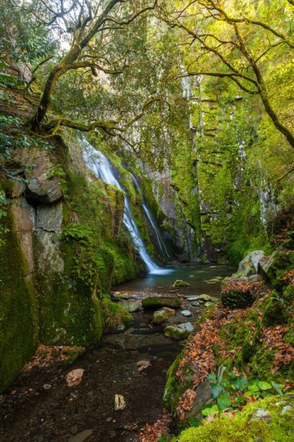 Rádio Regional do Centro: Paisagem Protegida da Serra do Açor com percurso mais “fácil e seguro”
