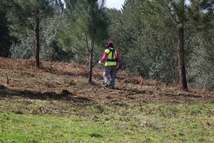 Rádio Regional do Centro: Coimbra: Terrenos junto a edificações isoladas têm de ser limpos até 15 de Abril