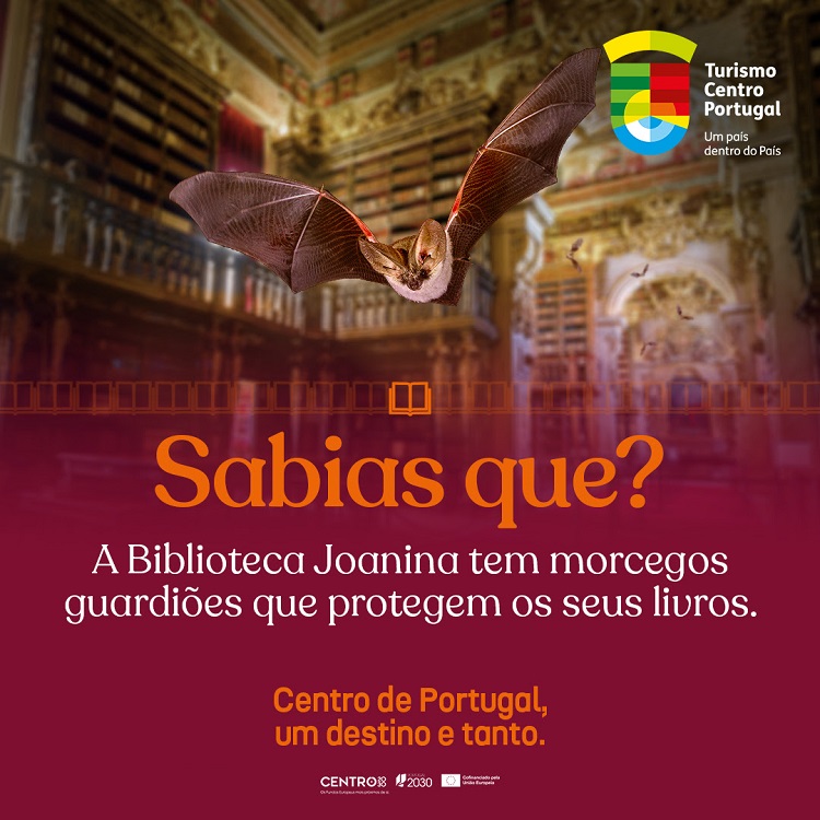 Rádio Regional do Centro: Turismo do Centro lança campanha com curiosidades menos conhecidas