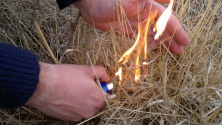 Rádio Regional do Centro: Bombeiro foi detido por ser suspeito de crimes de fogo florestal na Lousã