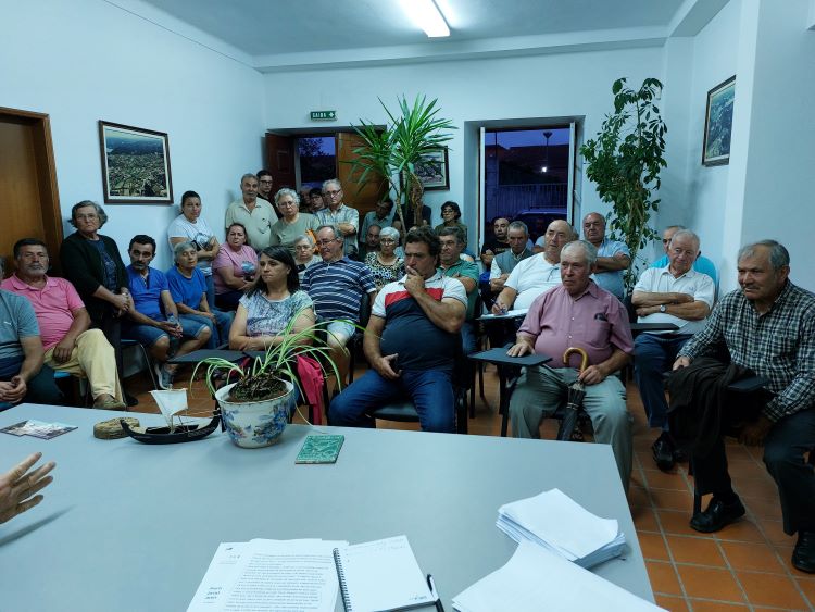 Rádio Regional do Centro: Agricultores em Penacova queixam-se de prejuízos causados por javalis e veados