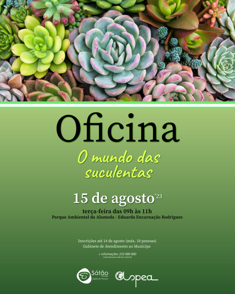 Rádio Regional do Centro: Abertas as inscrições para a oficina de “o mundo das suculentas”