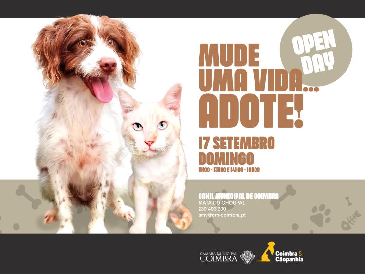 Rádio Regional do Centro: Câmara de Coimbra promove “Open Day” no Canil Municipal