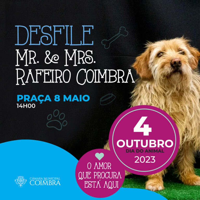 Rádio Regional do Centro: CM de Coimbra celebra Dia Mundial do Animal com desfile de cães na Praça 8 de Maio