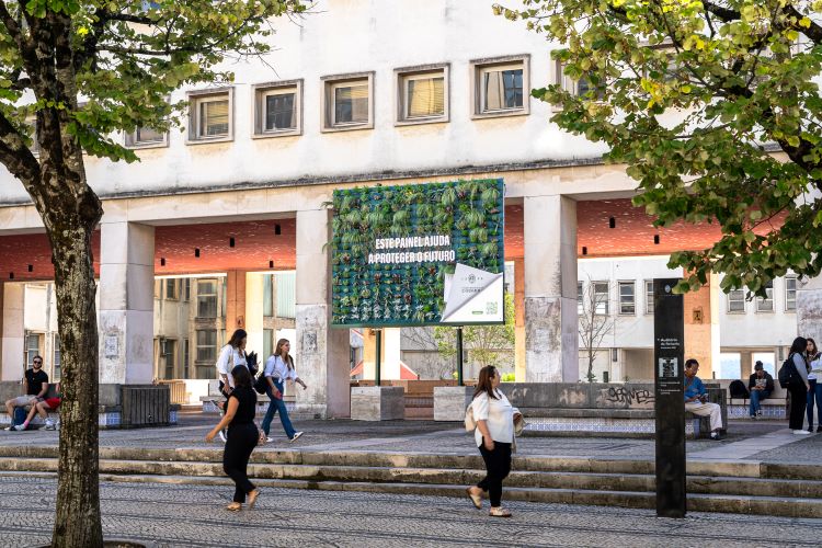 Rádio Regional do Centro: Campanha da Universidade de Coimbra sensibiliza para desenvolvimento sustentável