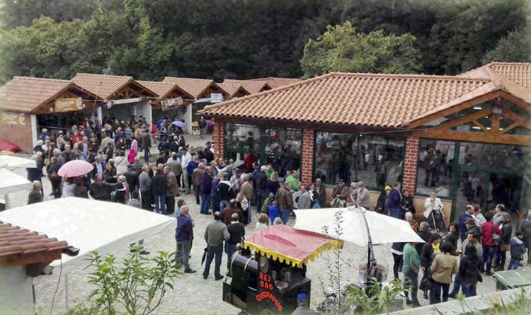 Rádio Regional do Centro: Feira da Castanha e do Mel em Quilho promete atrair multidões