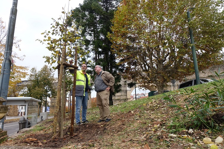 Rádio Regional do Centro: Câmara de Coimbra plantou 97 árvores esta semana