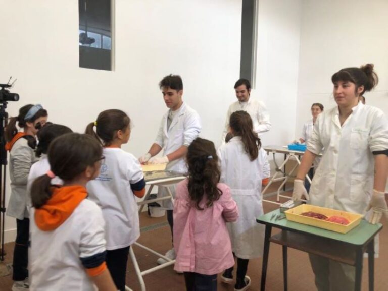 Rádio Regional do Centro: ESAC e Colégio Bissaya Barreto juntam-se para actividade “Animais por dentro”