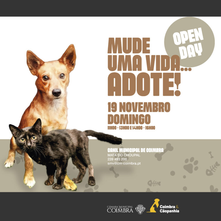 Rádio Regional do Centro: Domingo é dia de “Open Day” no Canil Municipal de Coimbra