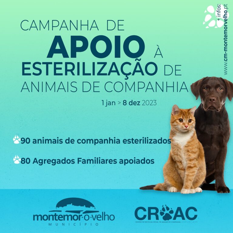 Rádio Regional do Centro: Montemor-o-Velho: 90 animais esterilizados no âmbito da Campanha de Apoio à Esterilização Rádio Regional do Centro: Montemor-o-Velho: 90 animais esterilizados no âmbito da Campanha de Apoio à Esterilização