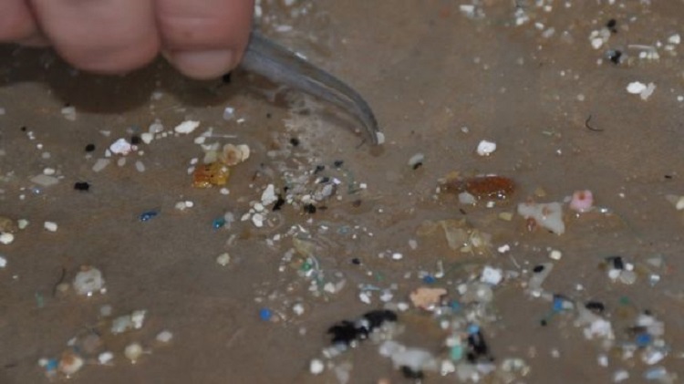 Rádio Regional do Centro: Removidas 950 partículas de plástico de praias entre Caminha e Figueira da Foz