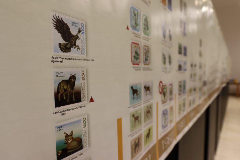 Rádio Regional do Centro: Exposição “Selos Postais – 55 Anos de Alertas pela Biodiversidade” no Cineteatro Messias