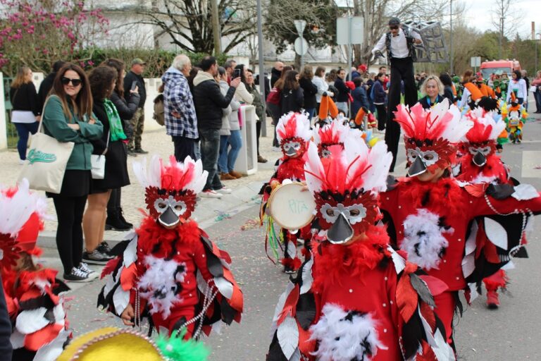 Rádio Regional do Centro: Carnaval de Palmo e Meio leva um milhar de crianças às ruas da Mealhada este domingo