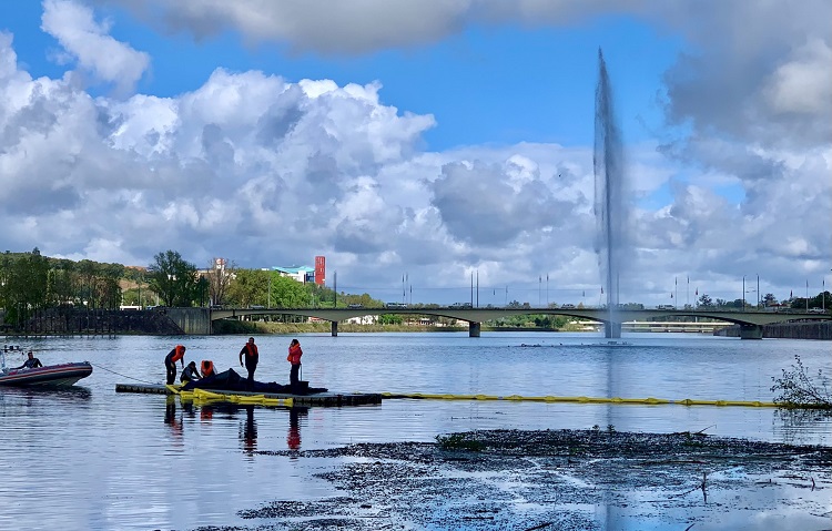 Rádio Regional do Centro: Removidos jacintos-de-água na albufeira do Açude-Ponte em Coimbra Rádio Regional do Centro: Removidos jacintos-de-água na albufeira do Açude-Ponte em Coimbra