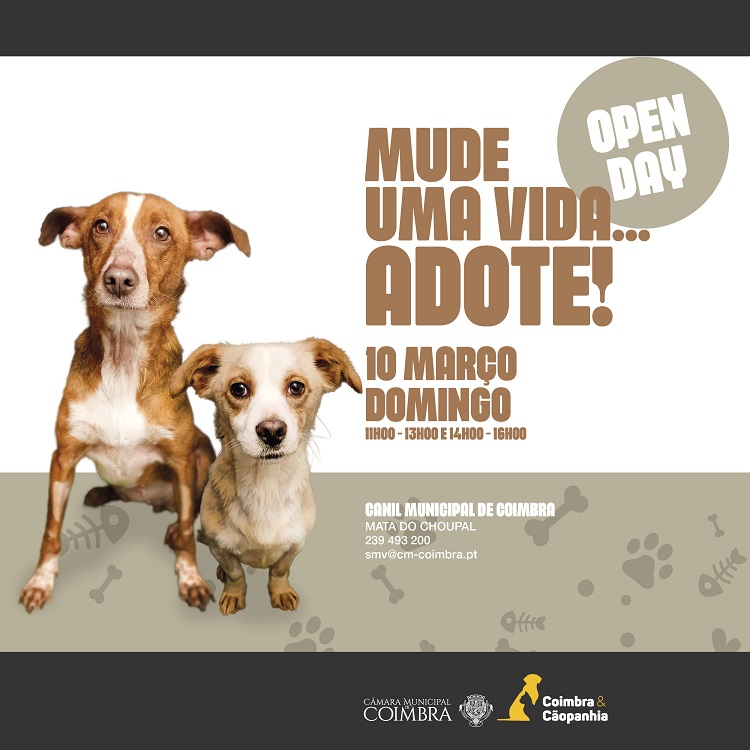 Rádio Regional do Centro: Canil Municipal de Coimbra promove adopção de animais este domingo