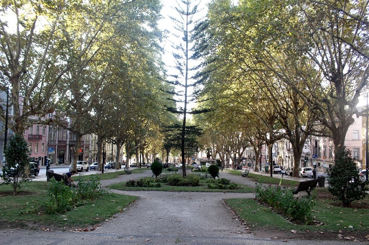 Rádio Regional do Centro: Câmara de Coimbra e Politécnico trocam argumentos sobre gestão do arvoredo