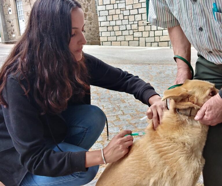 Rádio Regional do Centro: Campanha Vacinação Antirrábica em Oliveira do Hospital