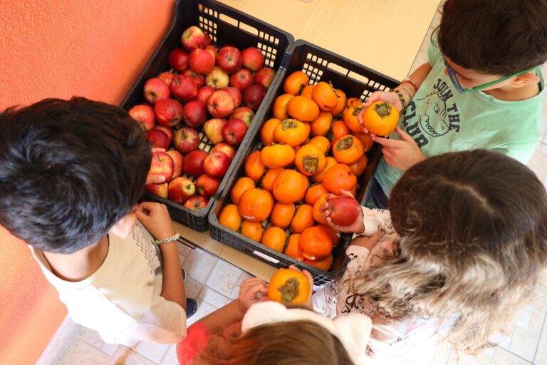 Rádio Regional do Centro: Município de Soure iniciou Programa Regime de Fruta Escolar 2024/2025