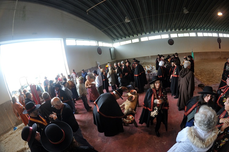 Rádio Regional do Centro: Real Confraria da Matança do Porco recria gastronomia tradicional em Miranda do Corvo