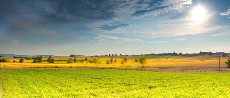 Rádio Regional do Centro: AJAP apela ao reforço contínuo no apoio aos Jovens Agricultores