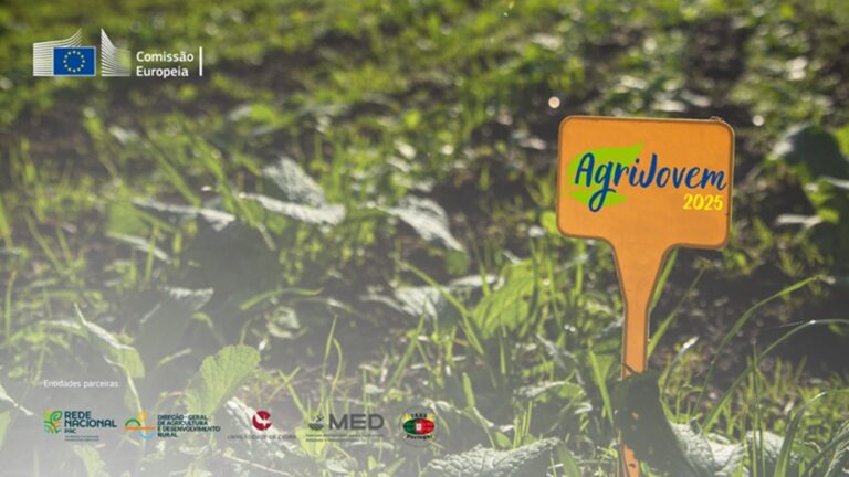 Rádio Regional do Centro: AgriJovem 2025: última semana de candidaturas para futuros profissionais do sector agrícola