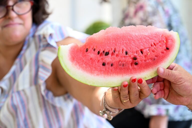 Rádio Regional do Centro: Festival da Melancia: está de volta a Idanha-a-Nova o festival mais fresco do Verão