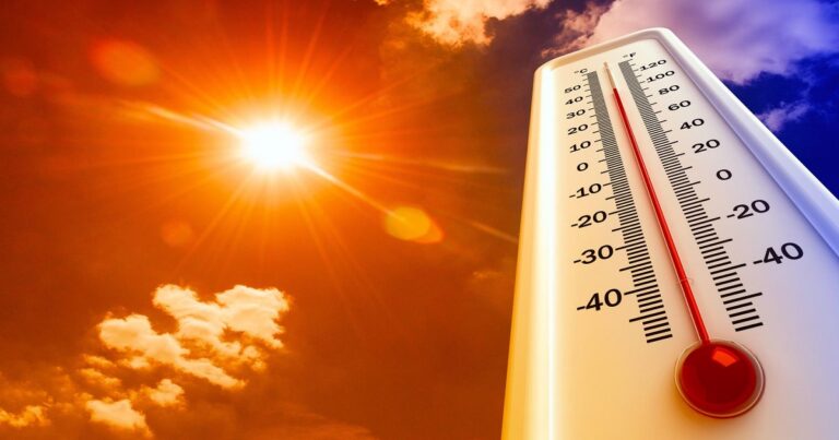 Rádio Regional do Centro: Ondas de calor: cuidados essenciais para seniores e crianças no Verão