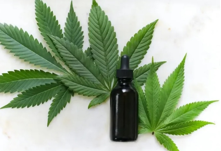 Rádio Regional do Centro: Conferência em Coimbra sobre cannabis medicinal aborda ciência, segurança e futuro