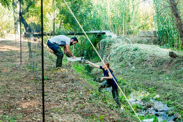 Rádio Regional do Centro: Coimbra: Caminhada ao longo do rio de Fornos no sábado