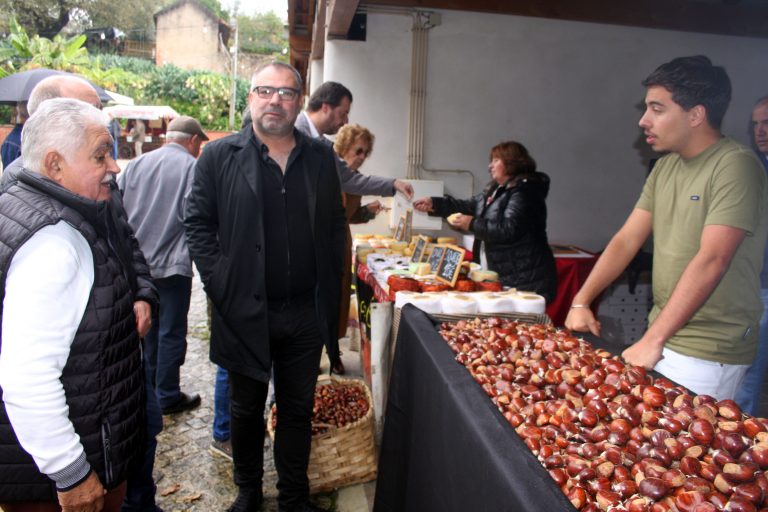 Rádio Regional do Centro: O futuro do castanheiro em análise na Feira da Castanha em Quilho