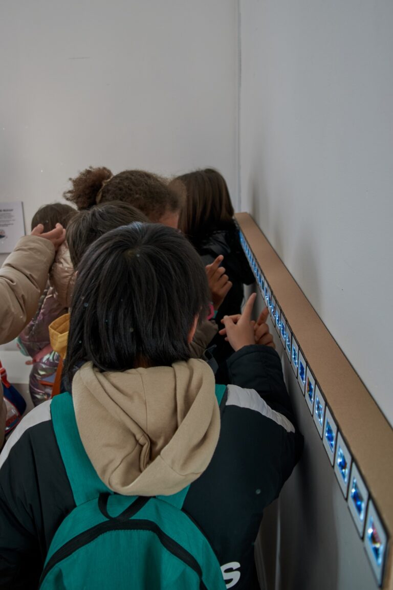 Rádio Regional do Centro: Casa da Esquina apresenta a Exposição Crianças em Acção 2025