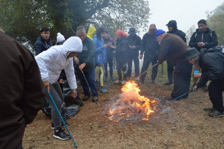 Rádio Regional do Centro: Caminhada de São Martinho na Serra da Lousã celebra Feira do Mel e da Castanha