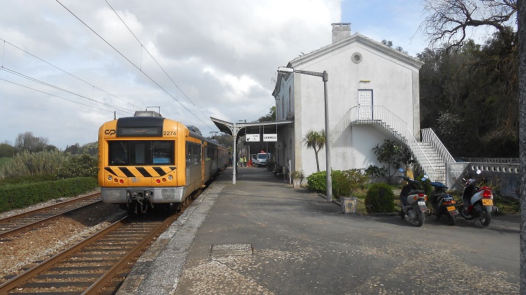 Rádio Regional do Centro: Comboio regional atropelou e matou 100 ovelhas no ramal de Alfarelos