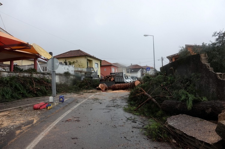 Rádio Regional do Centro: Arquitectos e Engenheiros propõem bolsa de voluntários para apoiar recuperação