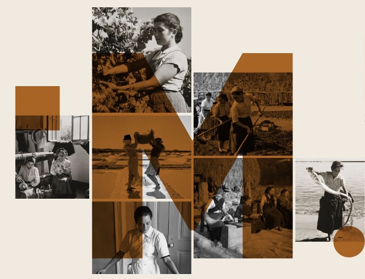 Rádio Regional do Centro: CCDR Centro inaugura exposição “Raízes de Mulher: Sementes de Futuro”