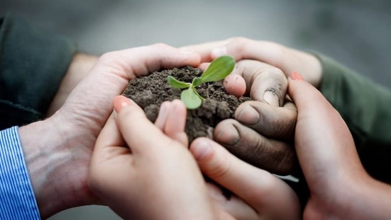 Rádio Regional do Centro: Conferência em Coimbra debate reforço de parcerias para transição verde