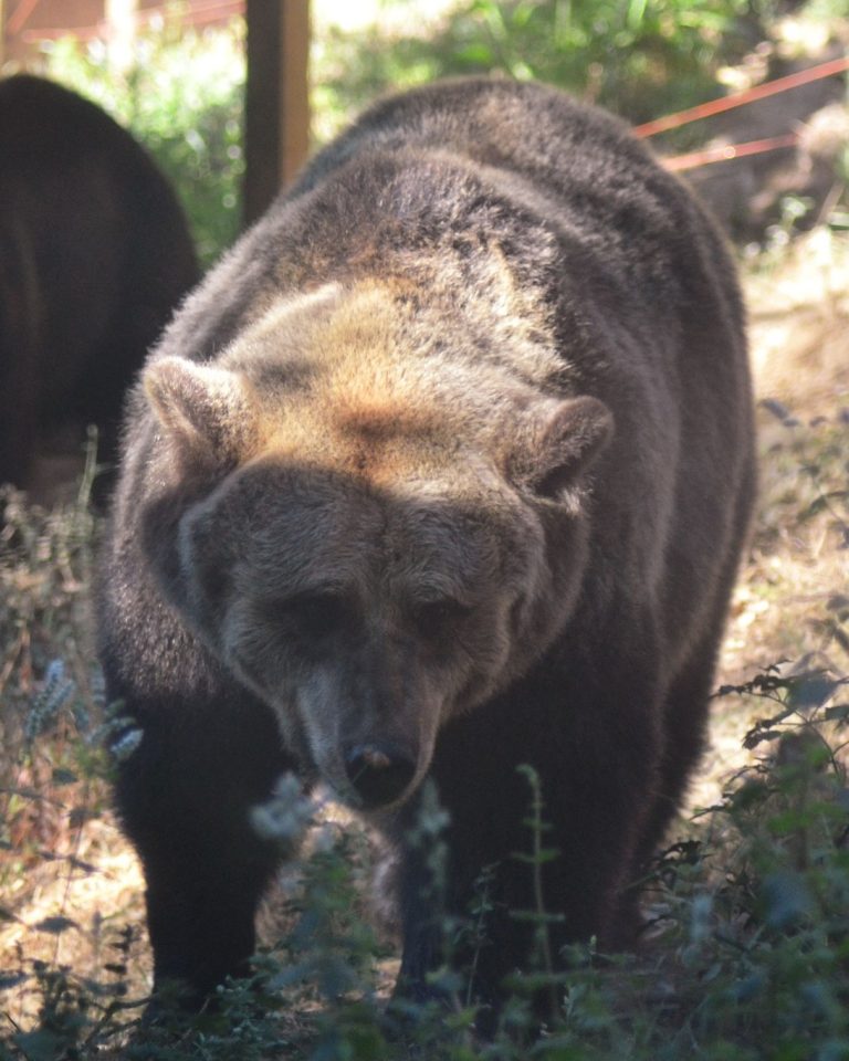 Rádio Regional do Centro: Dia de Reis com celebração especial no Parque Biológico da Serra da Lousã