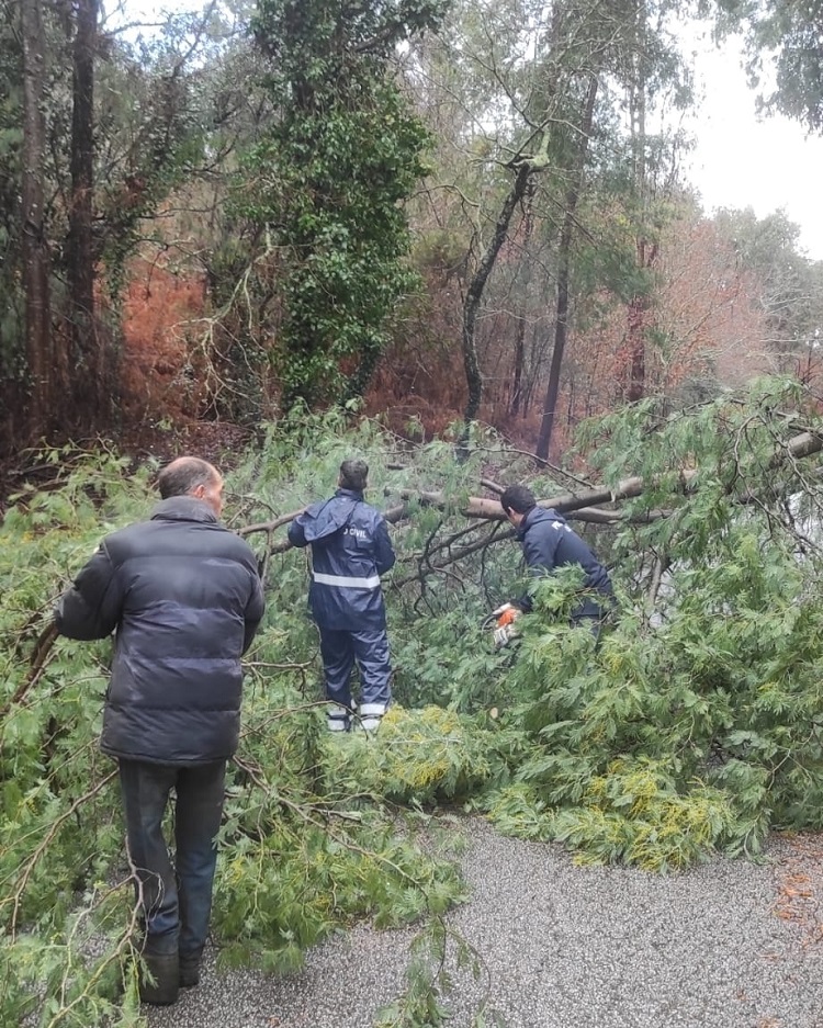 Rádio Regional do Centro: Tábua atenta à subida da água em rios e ribeiras