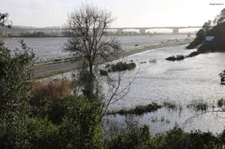 Rádio Regional do Centro: Casal de idosos desaparecido em Montemor-o-Velho foi encontrado morto