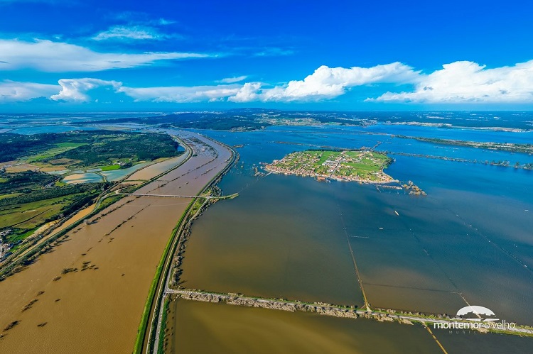 Rádio Regional do Centro: Buscas por casal de idosos de Montemor-o-Velho retomadas hoje