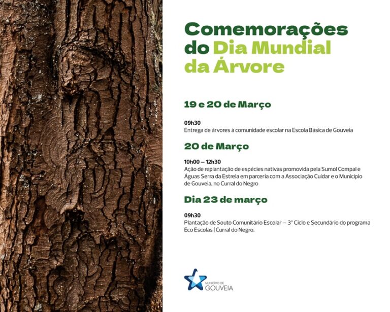 Rádio Regional do Centro: Comemorações do Dia Mundial da Árvore em Gouveia