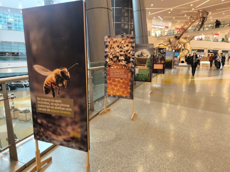 Rádio Regional do Centro: Alma Shopping continua a receber doações de açúcar até 12 de Março