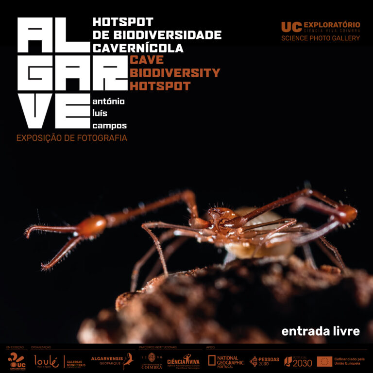 Rádio Regional do Centro: UC Exploratório inaugura exposição sobre biodiversidade cavernícola na Science Photo Gallery